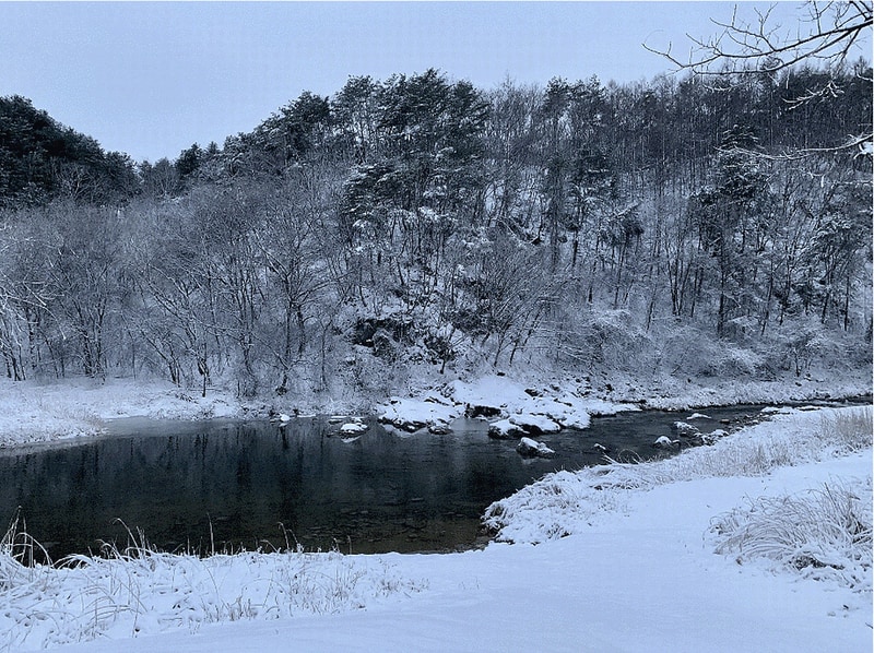 우리들캠핑장 시설 사진 14