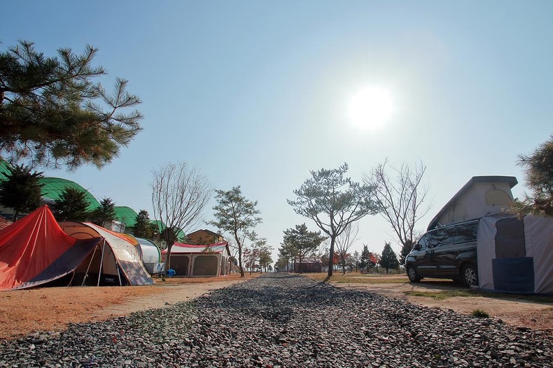 철원가산농원캠핑장 시설 사진 8
