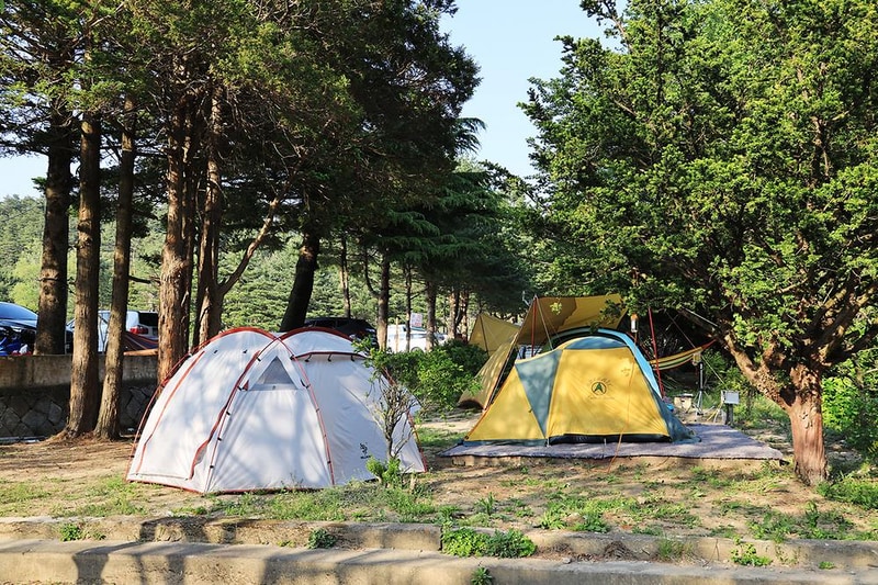 보광농촌체험휴양마을 시설 사진 19