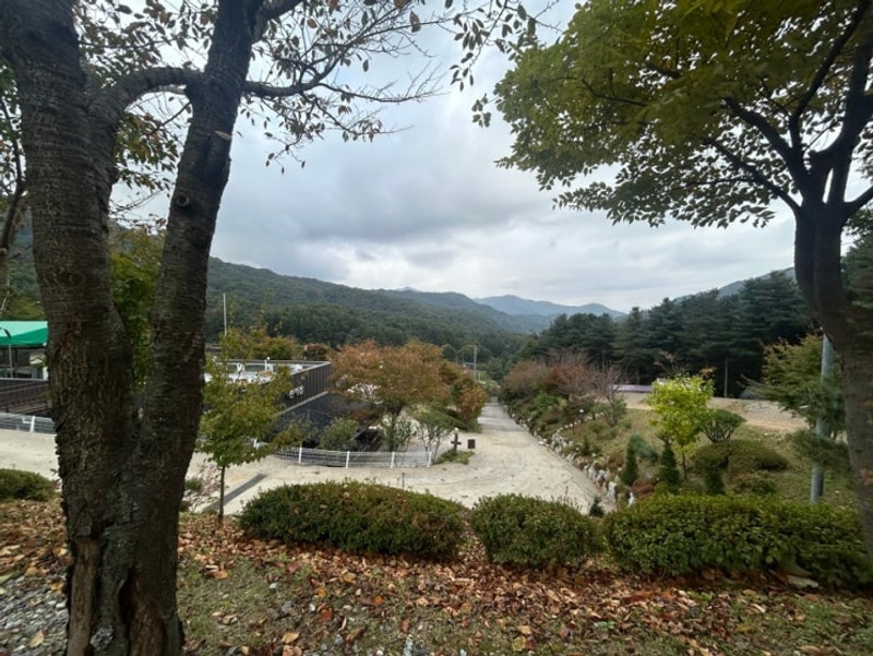 해자연캠핑장, 서울근교 남양주 캠핑장 할로윈 캠핑 후기