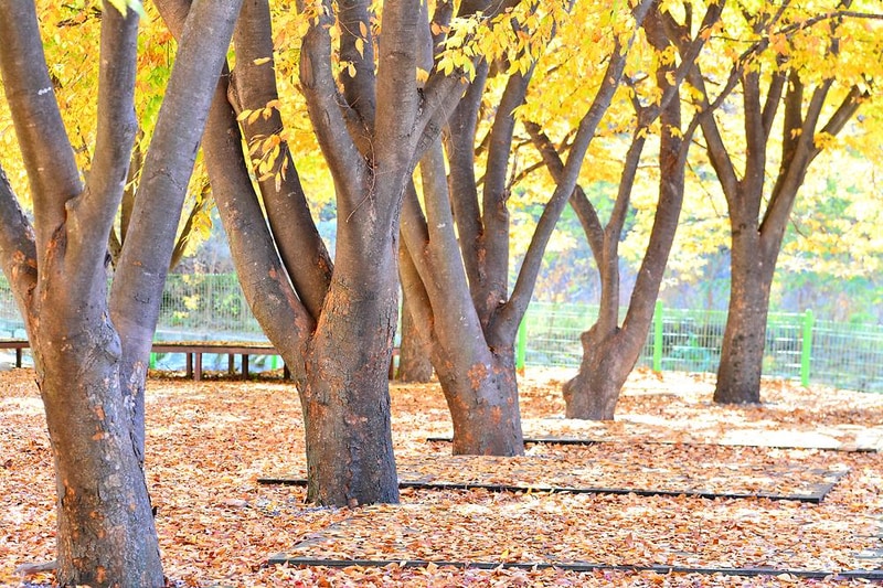 융프라우오토캠핑장 시설 사진 4