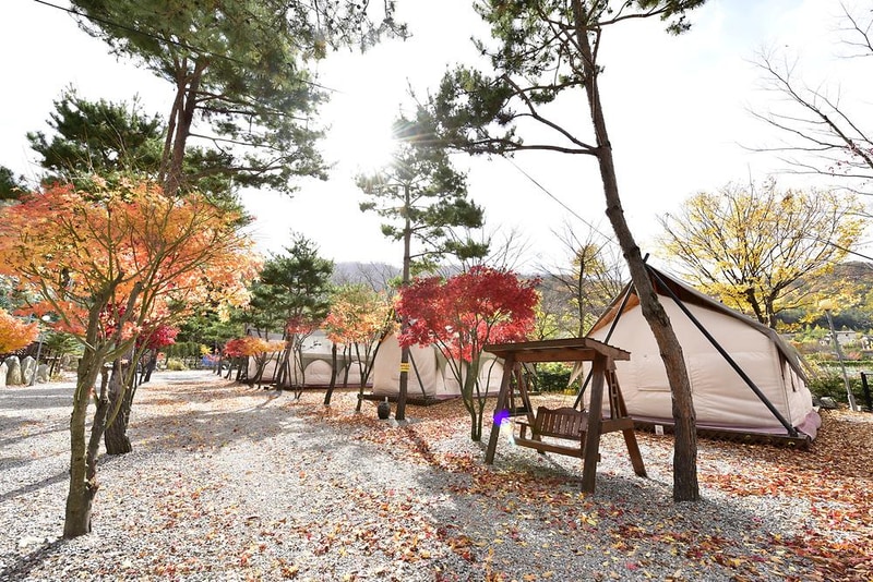 리즈밸리 시설 사진 6