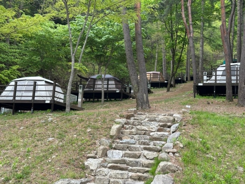 [봉화 캠핑]  문수산 자연휴양림 야영장 캠핑/5번 사이트