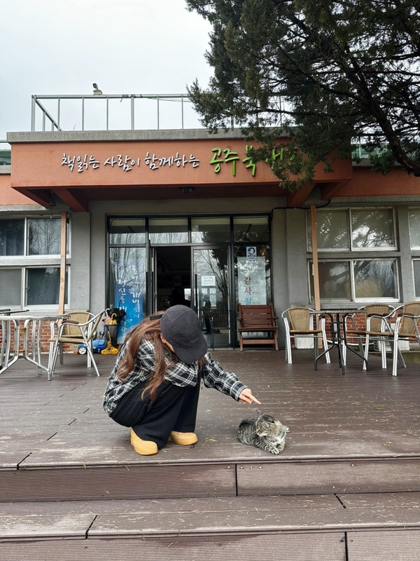 공주 북캠프 글램핑 대전,세종,천안 근처 글램핑