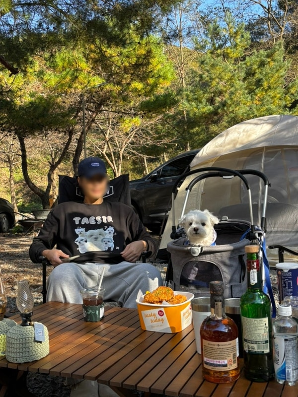[안성] 당일예약가능한 강쥐동반 캠핑장 캠핑코리아 ᐠ( ¨̮ )ᐟ