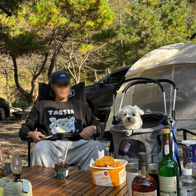 캠핑코리아 대표 사진