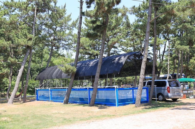 청포대숲속야영장 시설 사진 5