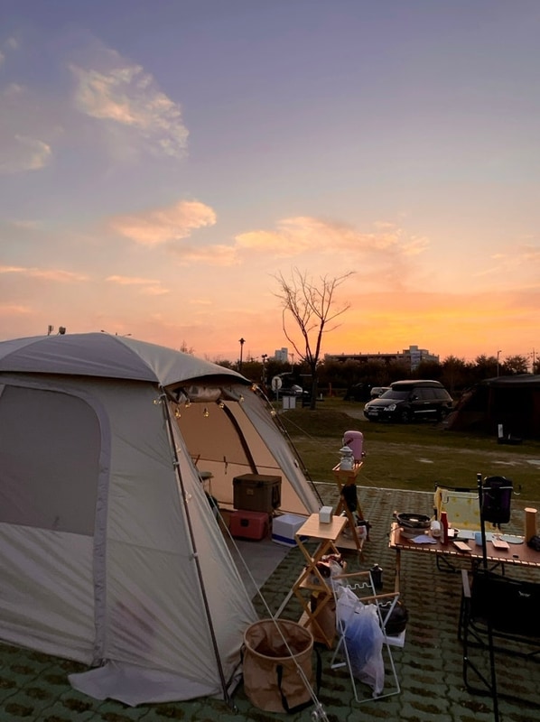 Camping 15 :) 대저캠핑장 낙동강벚꽃축제 대저유채꽃...