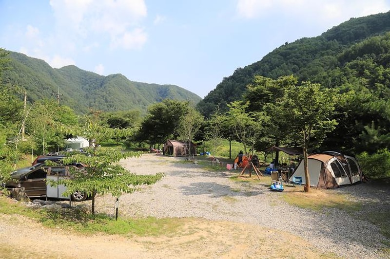 호식이 캠핑장 대표 사진
