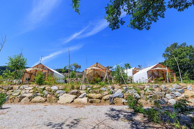 네이스트 프라이빗 음성 대표 사진