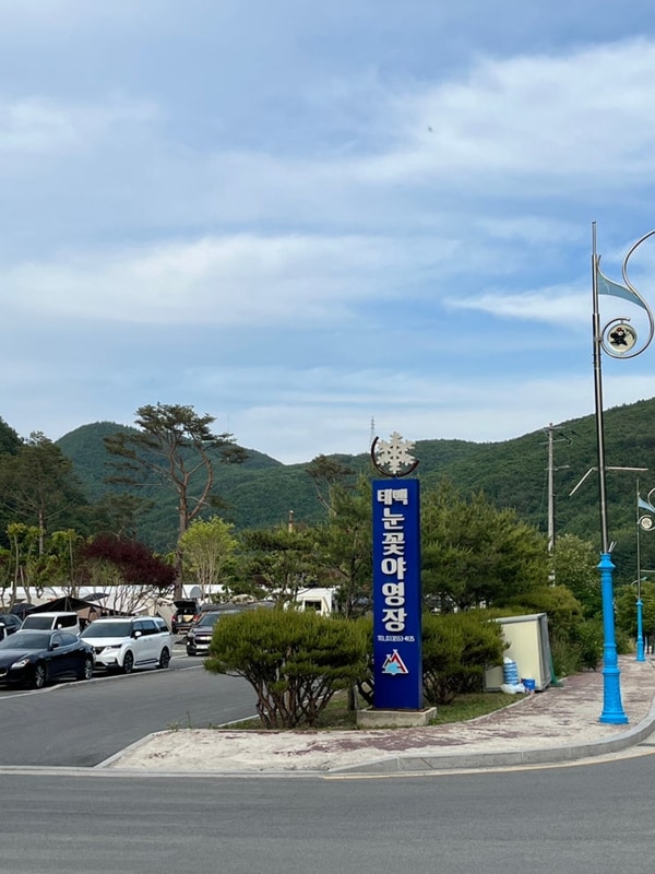 [태백] 태백눈꽃 야영장