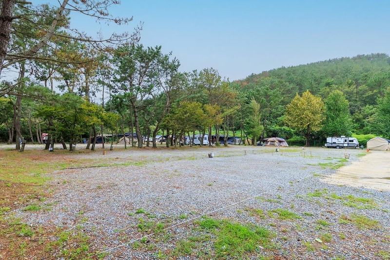 펜캠2495체험학교 시설 사진 10