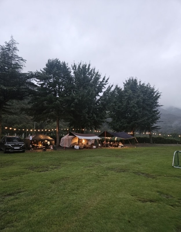 영천 자호천생태학교 캠핑장 아이랑 후기