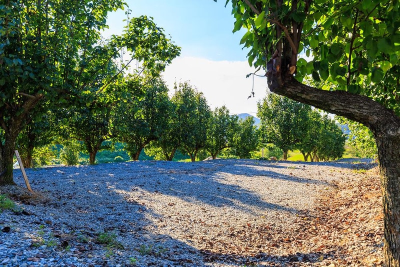 팜앤투어 캠핑장 시설 사진 17