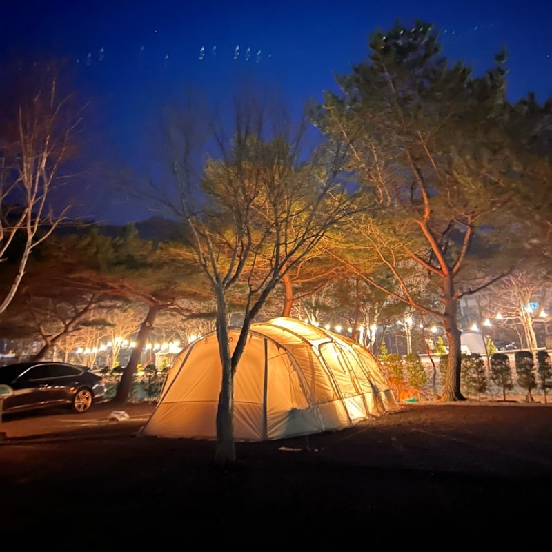 가평 1박 2일 캠핑장 '솔바람 캠핑장' 맑은 공기 속 휴식하기...