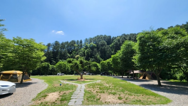 가평 캠프올모 - 가평 계곡, 잔디광장, 개별 샤워실 있는 캠핑장