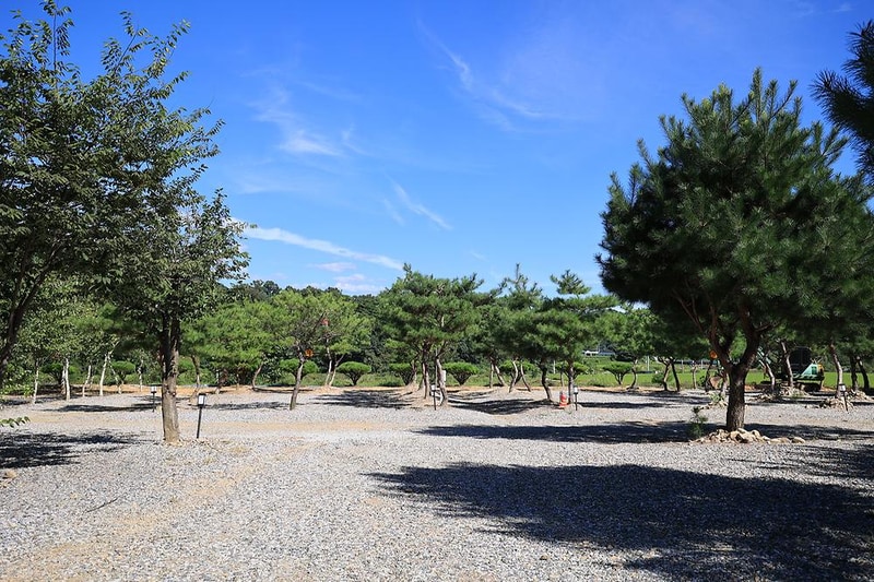 사발소캠핑장 시설 사진 13