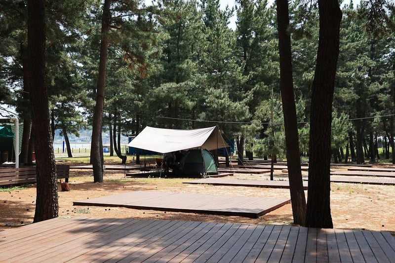 북분솔밭캠핑장 시설 사진 21