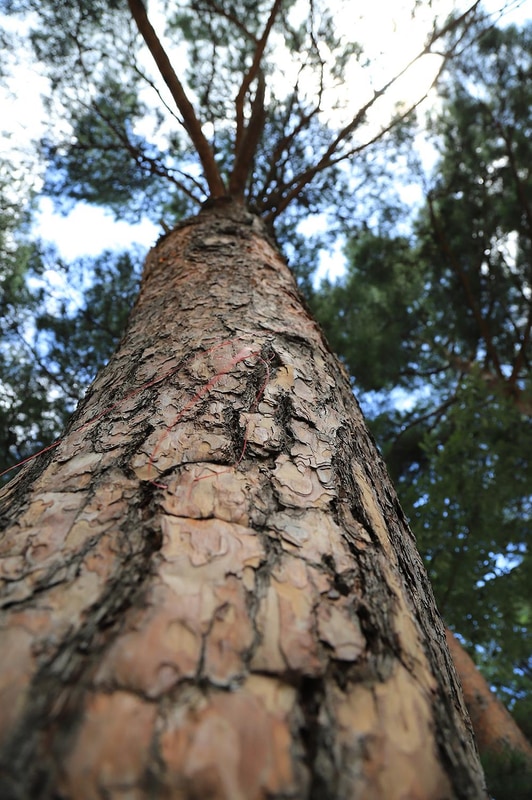 내평계곡캠핑장 시설 사진 5