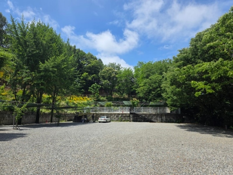 [안성 캠핑] 경기도 근교 조용한 캠핑장 안성별숲캠핑장...