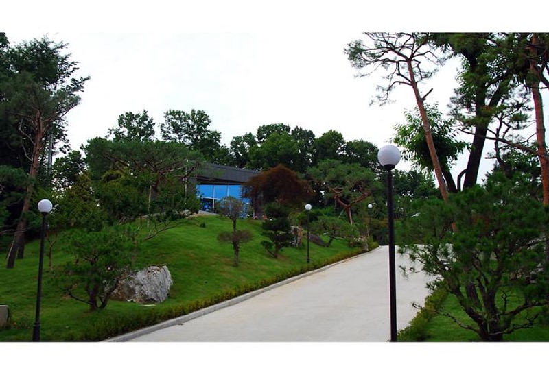 솔잎향캠핑파크 대표 사진