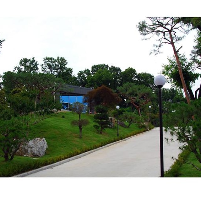 솔잎향캠핑파크