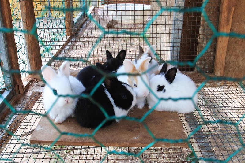 속리산 사계절 캠핑장 시설 사진 20