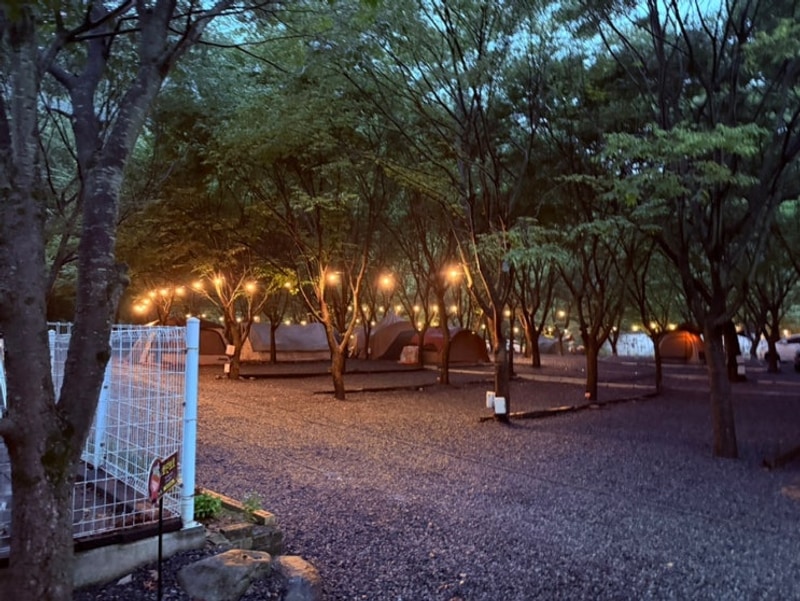 [청도] 구름아래캠핑장