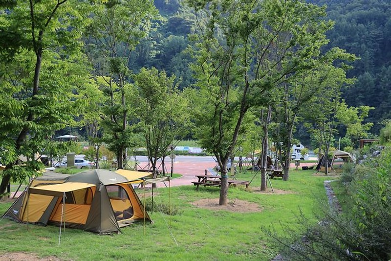 홍천강 자라바위 오토캠핑장 대표 사진