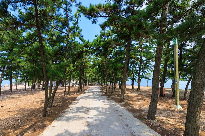 서산벌천포캠핑장 시설 사진 17