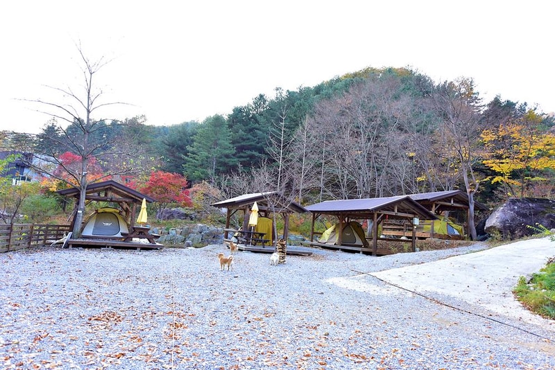 화야 캠핑장 시설 사진 8