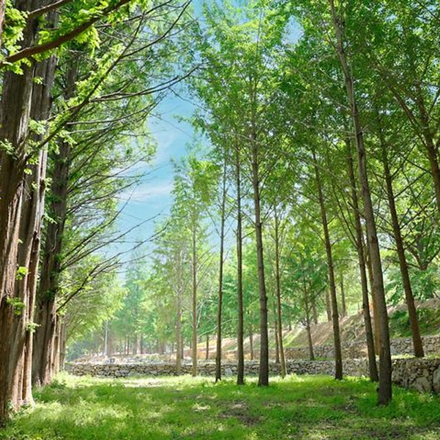 (주)스노우라인캠핑빌리지