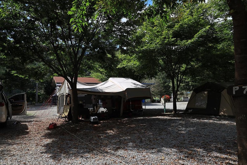 다 그린 시설 사진 1