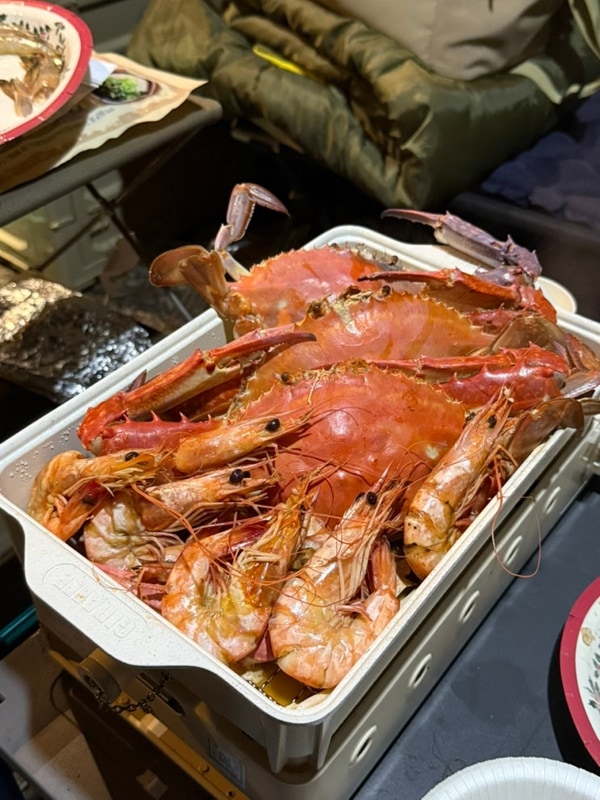 캠핑 몽산포 오션캠핑장 선착순 자리잡기 태안캠핑장...