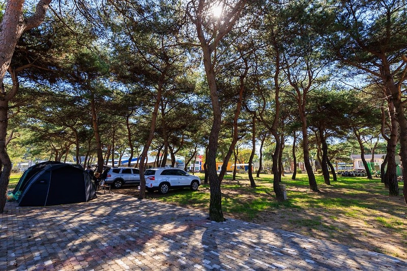 성보촌 캠핑장 시설 사진 12