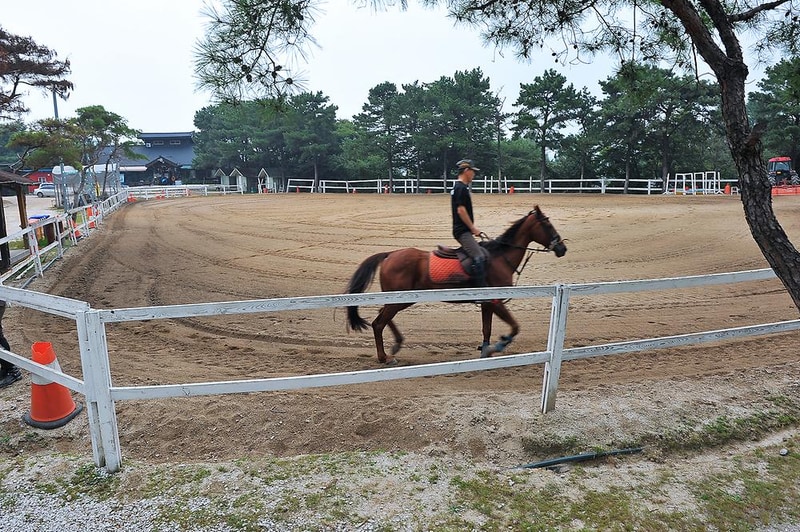 운악승마캠프 시설 사진 16