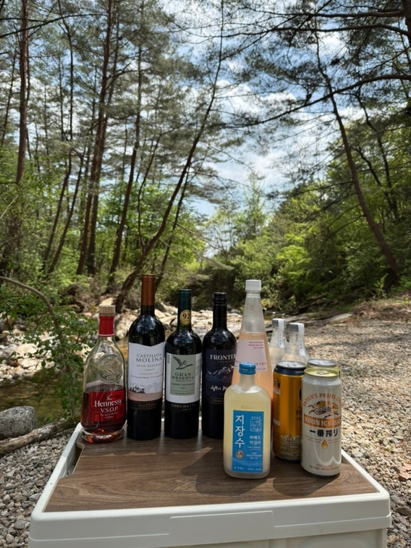 [영월캠핑] 계곡뷰 캠프오어즈 여름 1사이트 (시설 정보)...