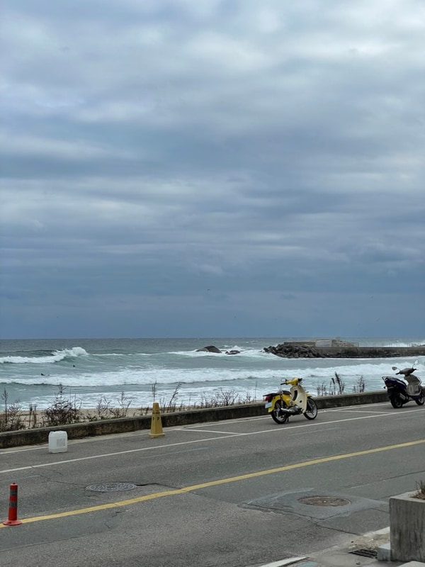 말똥도넛, 가평 별빛누리글램핑, 양양 송이닭강정...