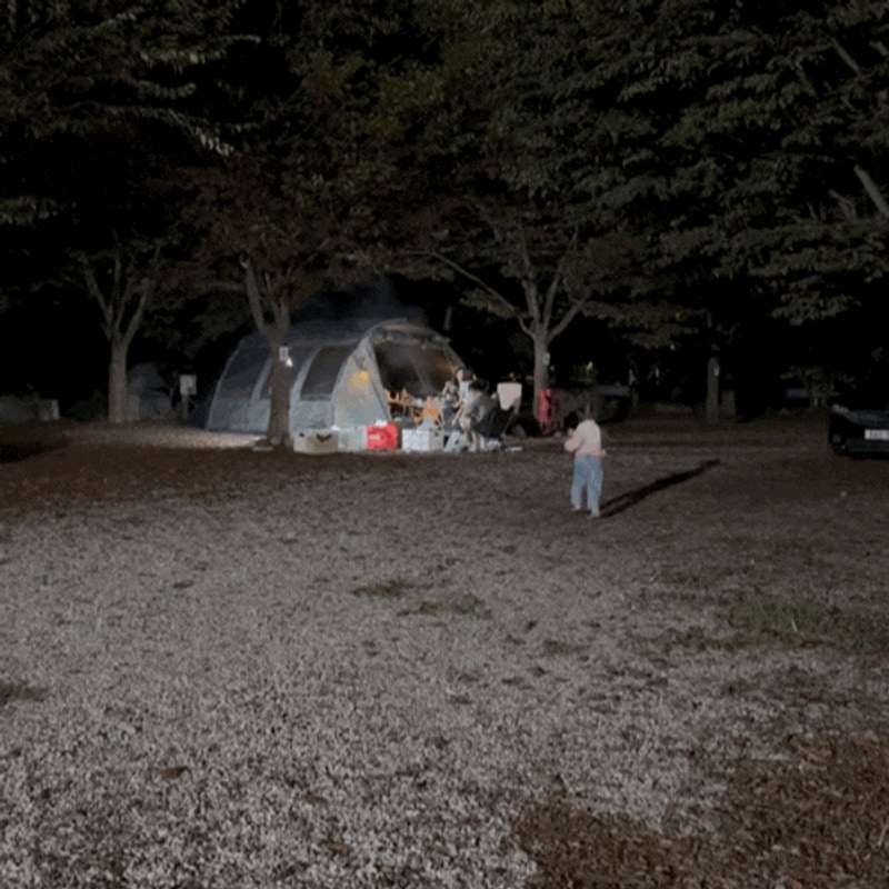 함께 가기 좋은 경북 캠핑장 – 성주자연오토캠핑장 후기