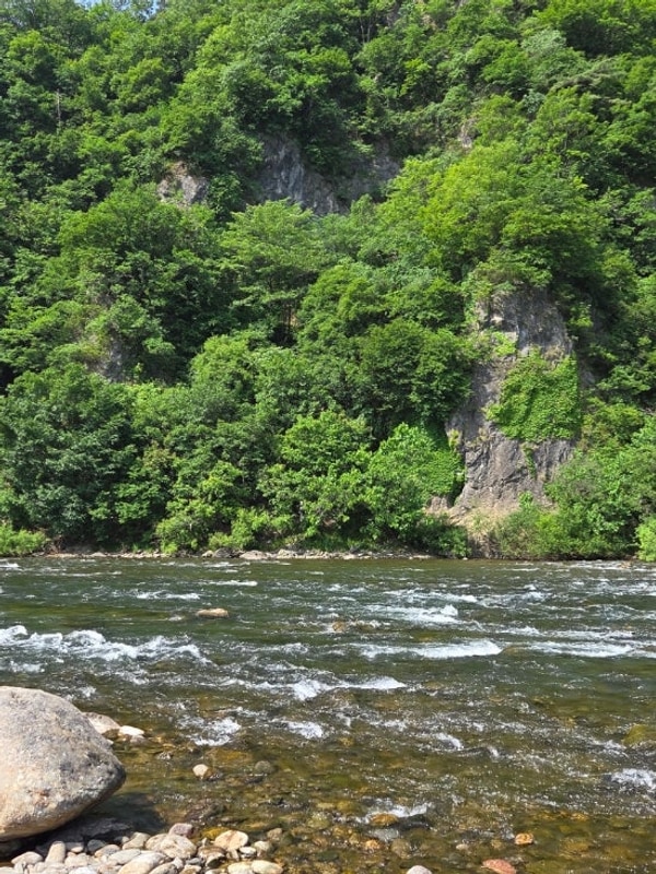 #26 영월 동강오토캠핑장 a사이트 뷰 / 인생순대 영월서부시장...