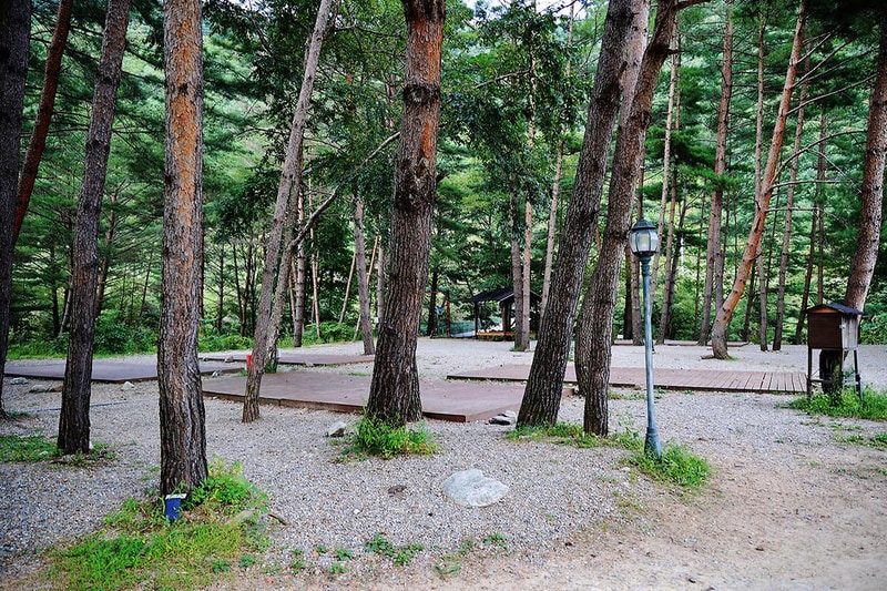 물가솔솔캠핑장 시설 사진 7