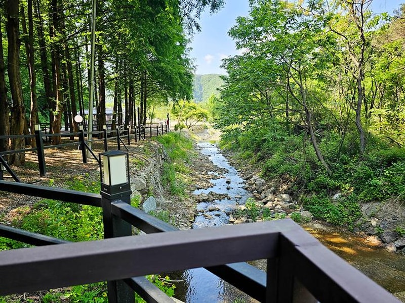 스테이네이처 대표 사진