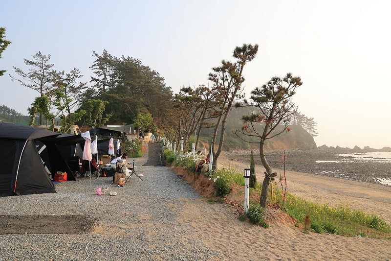 파도와노을캠핑장 시설 사진 14