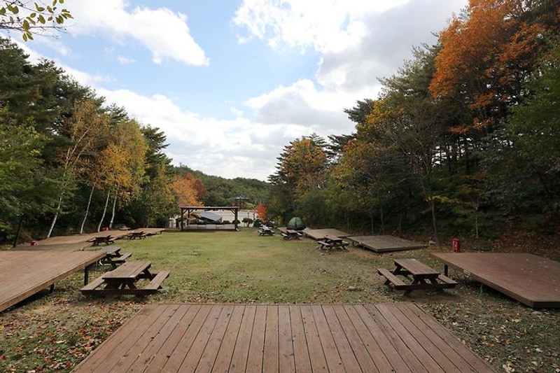 국립자연휴양림관리소 칠보산 자연휴양림 대표 사진