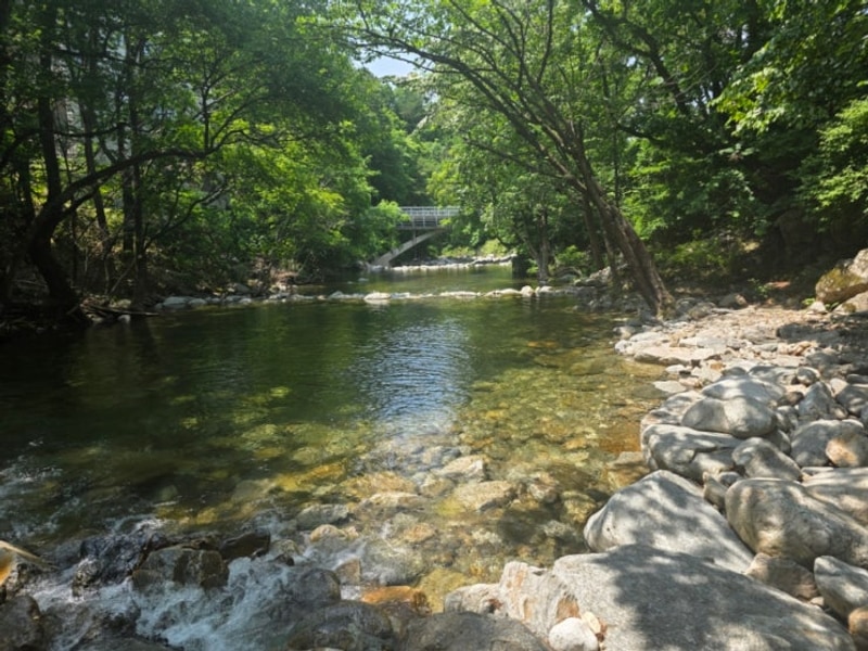 Goodbye Summer 무주구천동카라반