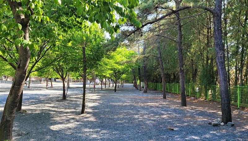밀양스쿨오토캠핑장 대표 사진