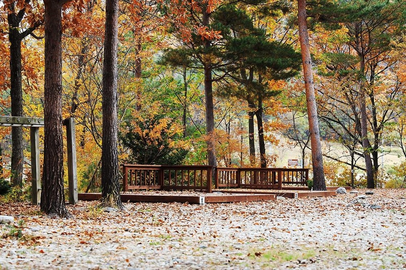 강릉 노추산 힐링캠프 시설 사진 6