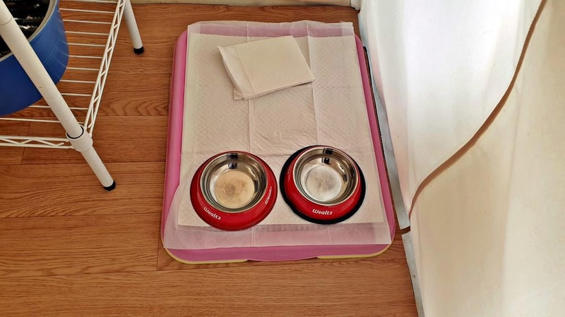 골드펫리조트 시설 사진 17