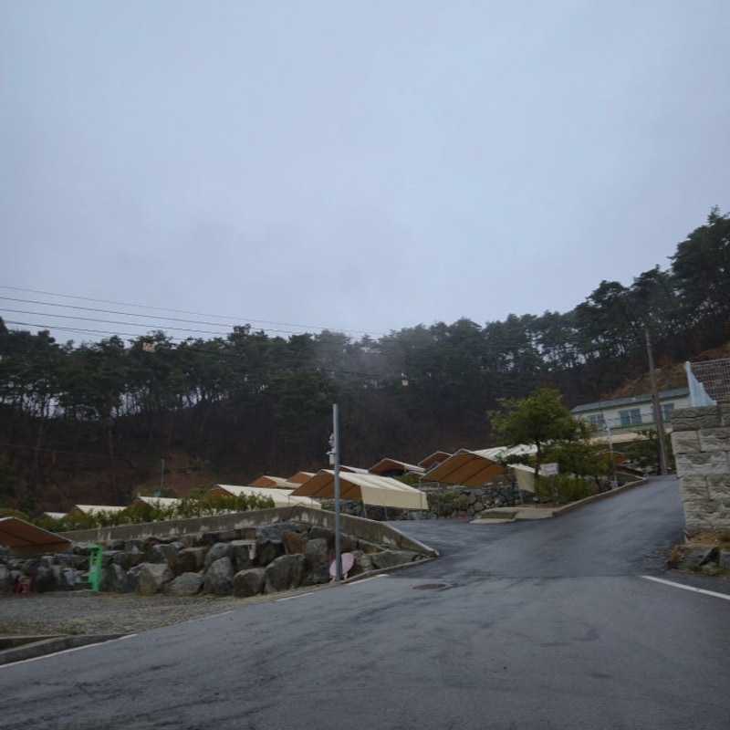 [횡성] 새말캠핑장 기록