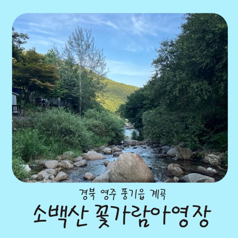 경북 가볼만한곳 소백산 계곡 꽃가람야영장